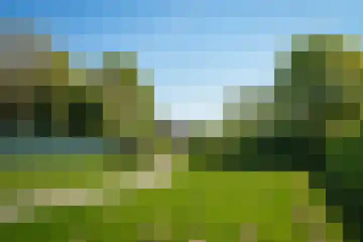 de Mandenmaker 1 Heeze thumbnail 58