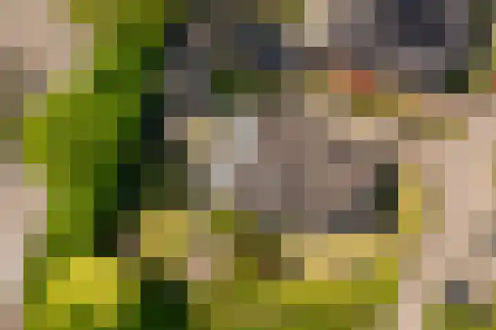 de Mandenmaker 1 Heeze thumbnail 59