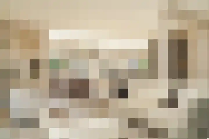 de Mandenmaker 1 Heeze thumbnail 6
