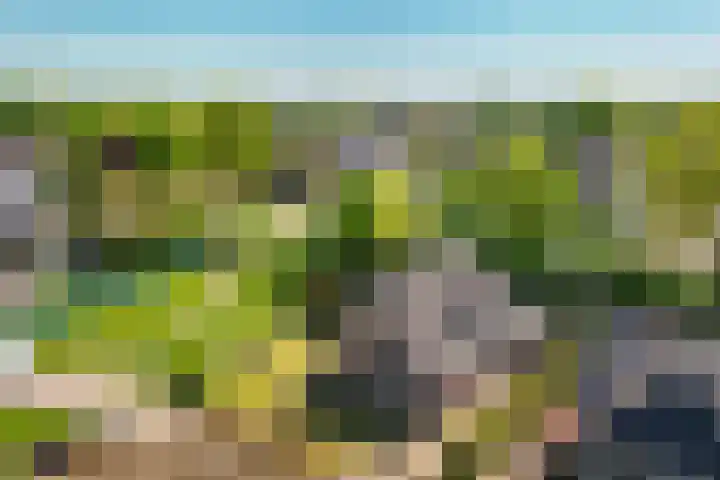 de Mandenmaker 1 Heeze thumbnail 60