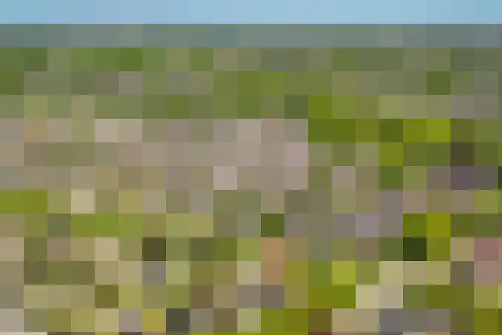 de Mandenmaker 1 Heeze thumbnail 63
