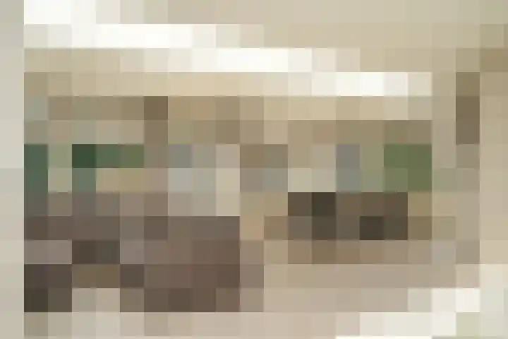 de Mandenmaker 1 Heeze thumbnail 9