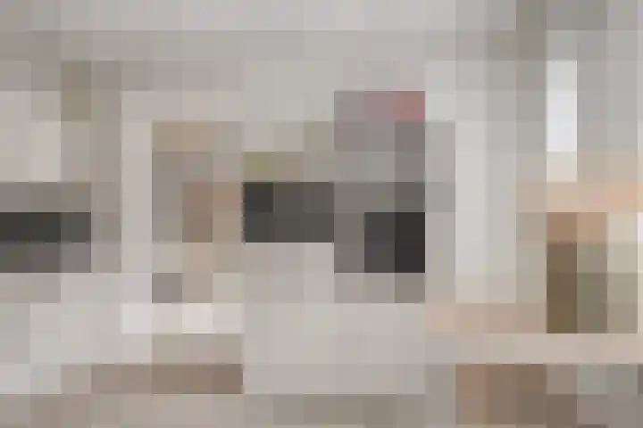 de Mandenmaker 17 Heeze thumbnail 20