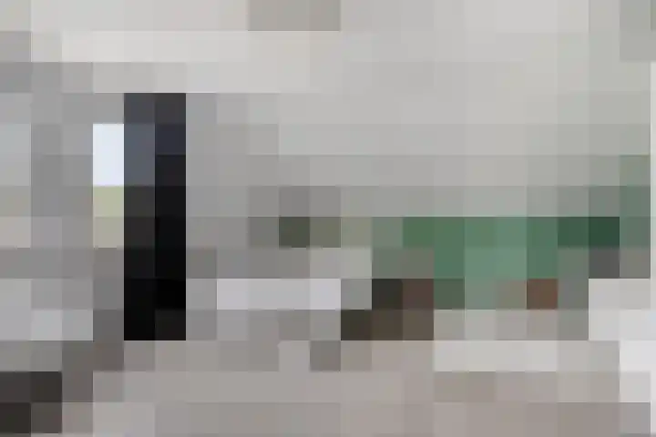 de Mandenmaker 17 Heeze thumbnail 32