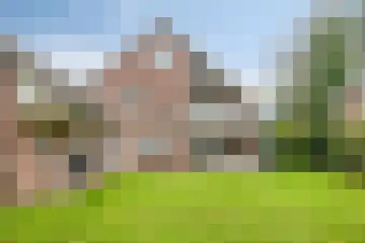 de Mandenmaker 17 Heeze thumbnail 45