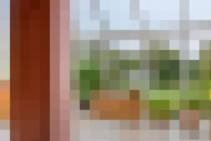 De Mandestraat 22 Haule thumbnail 15