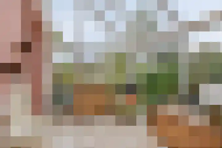De Mandestraat 22 Haule thumbnail 16