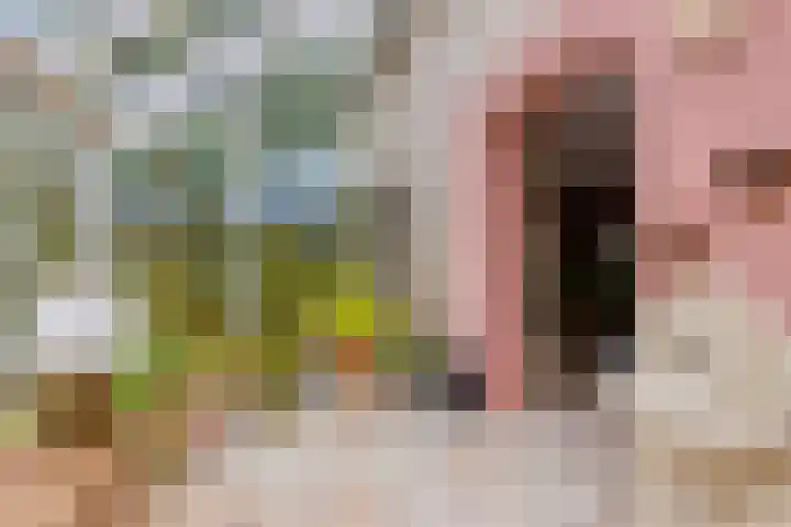 De Mandestraat 22 Haule thumbnail 17