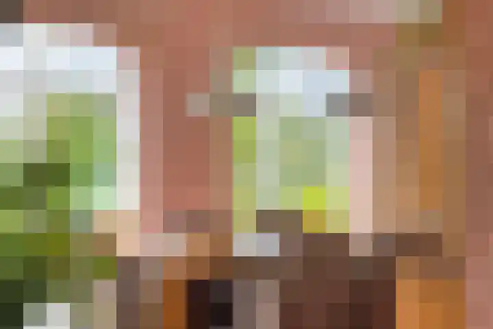 De Mandestraat 22 Haule thumbnail 19