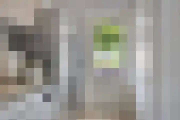 De Mandestraat 22 Haule thumbnail 23