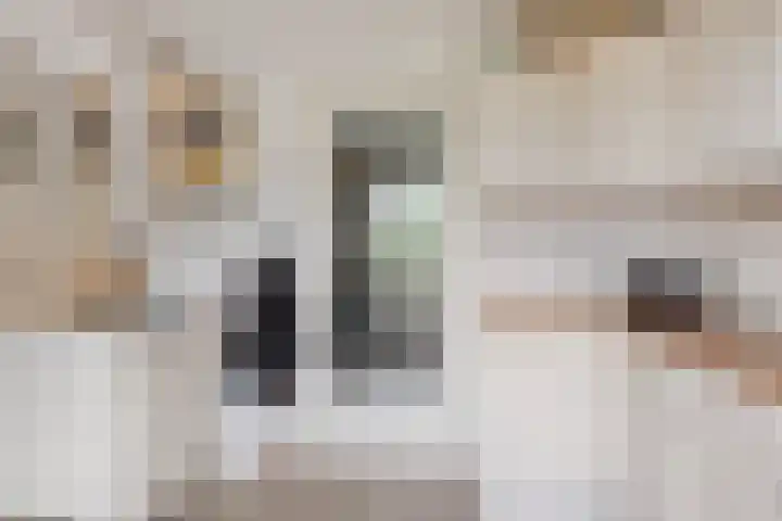 De Mandestraat 22 Haule thumbnail 25
