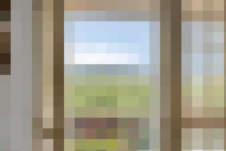 De Mandestraat 22 Haule thumbnail 29