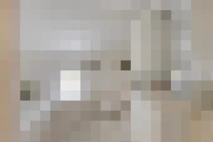 De Mandestraat 22 Haule thumbnail 30
