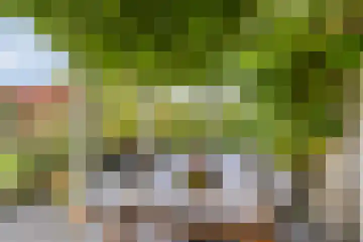 De Mandestraat 22 Haule thumbnail 35