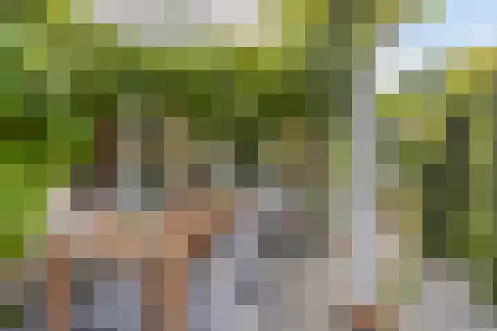 De Mandestraat 22 Haule thumbnail 36