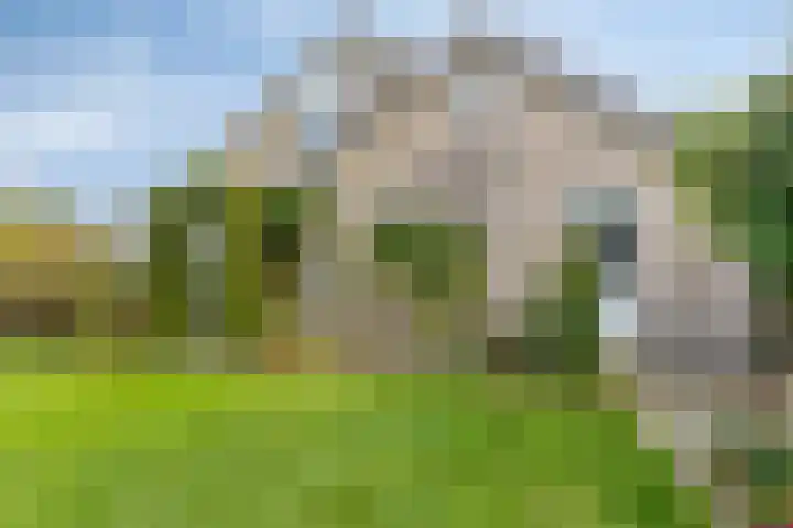 De Mandestraat 22 Haule thumbnail 37