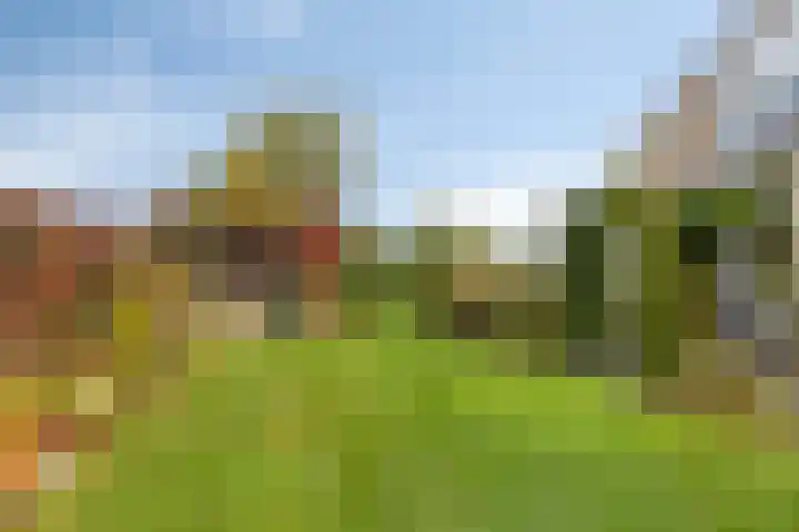 De Mandestraat 22 Haule thumbnail 38