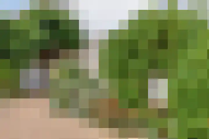 De Mandestraat 22 Haule thumbnail 4