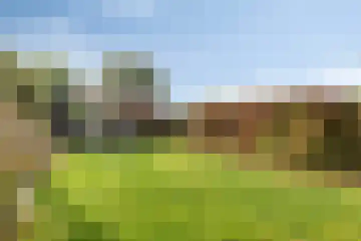 De Mandestraat 22 Haule thumbnail 40