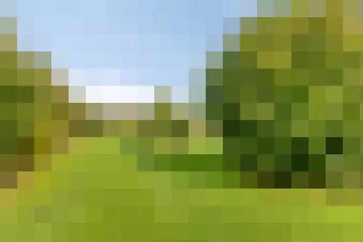 De Mandestraat 22 Haule thumbnail 41