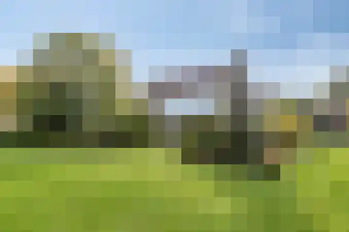 De Mandestraat 22 Haule thumbnail 42