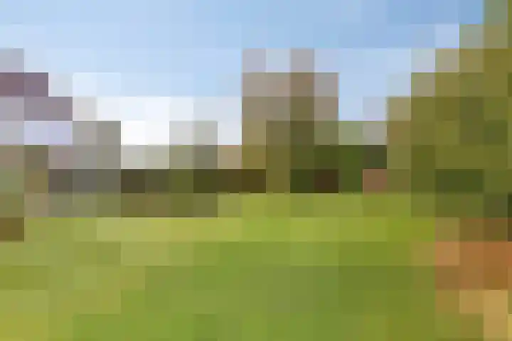 De Mandestraat 22 Haule thumbnail 43