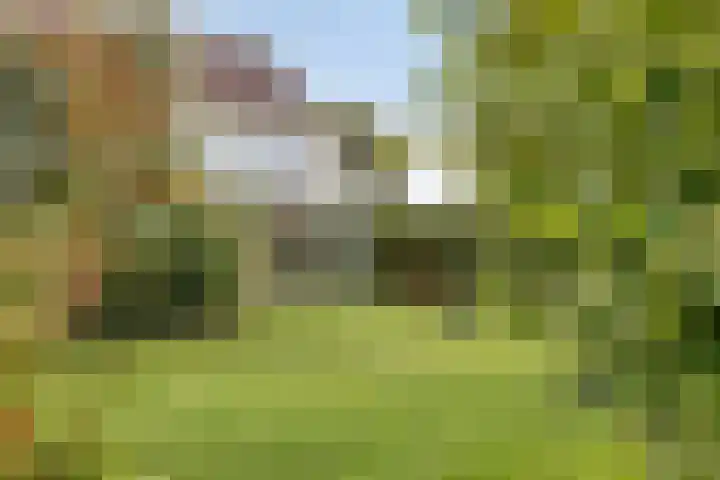 De Mandestraat 22 Haule thumbnail 44