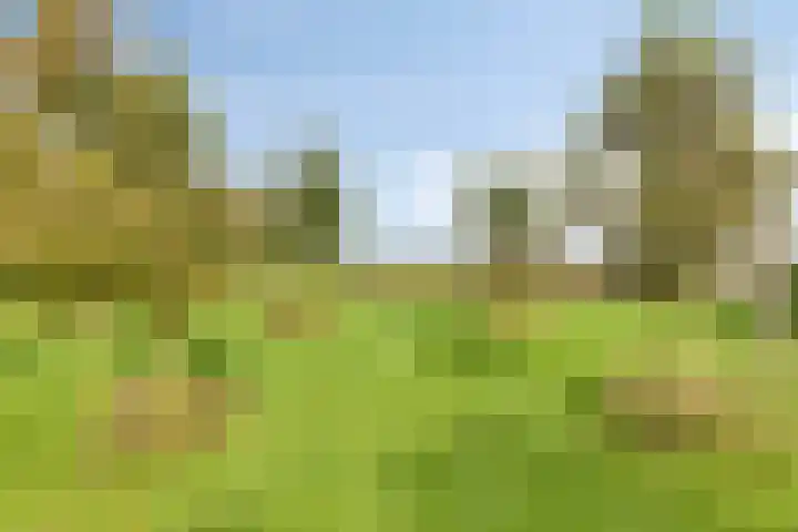 De Mandestraat 22 Haule thumbnail 45