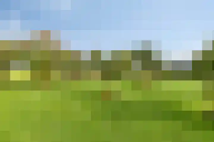 De Mandestraat 22 Haule thumbnail 46