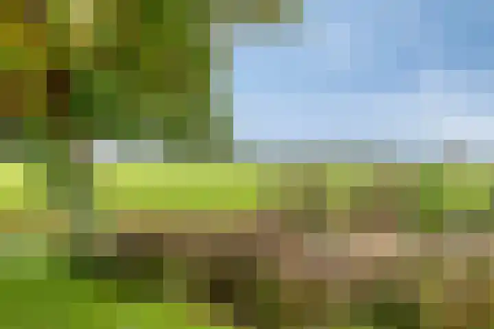 De Mandestraat 22 Haule thumbnail 47