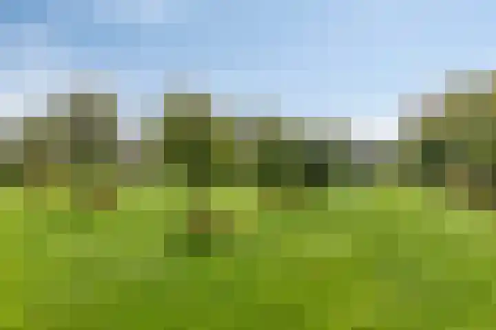De Mandestraat 22 Haule thumbnail 48
