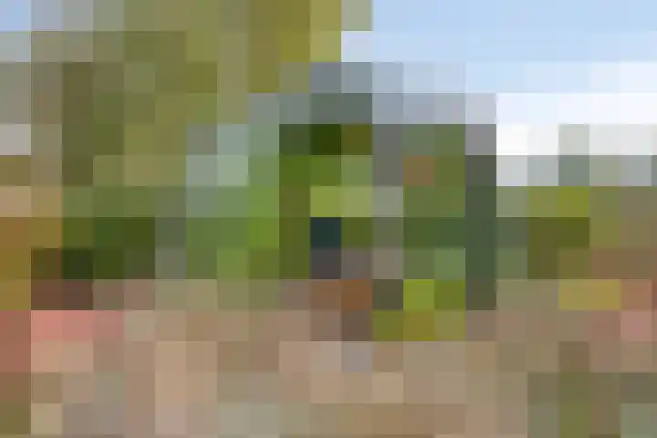 De Mandestraat 22 Haule thumbnail 49
