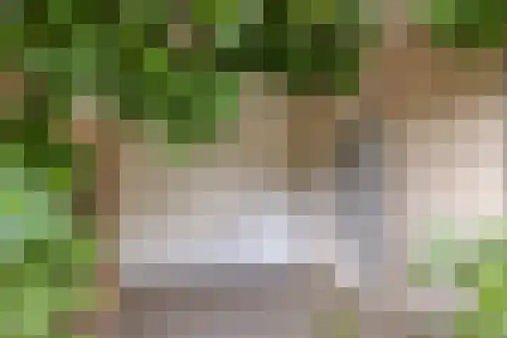 De Mandestraat 22 Haule thumbnail 5