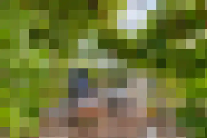 De Mandestraat 22 Haule thumbnail 50