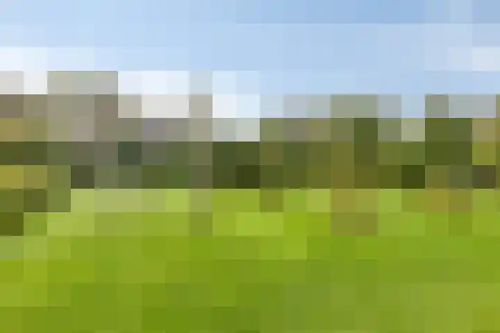 De Mandestraat 22 Haule thumbnail 51