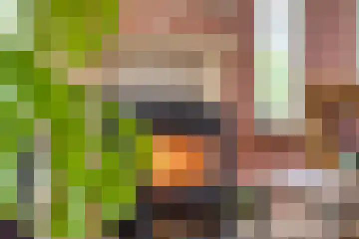 De Mandestraat 22 Haule thumbnail 9