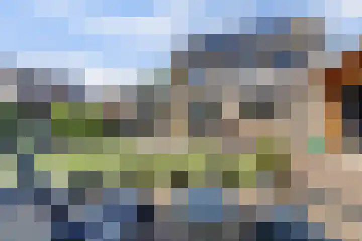 de Mandreef 2 Rucphen thumbnail 32