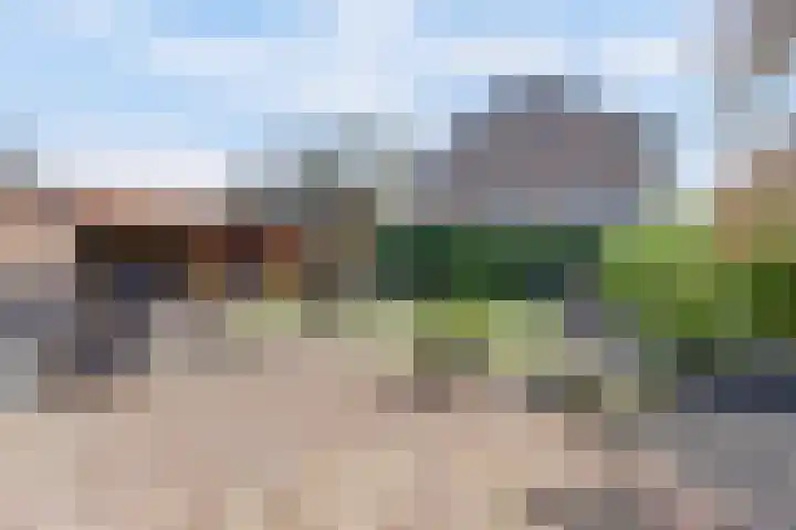 de Mandreef 2 Rucphen thumbnail 35