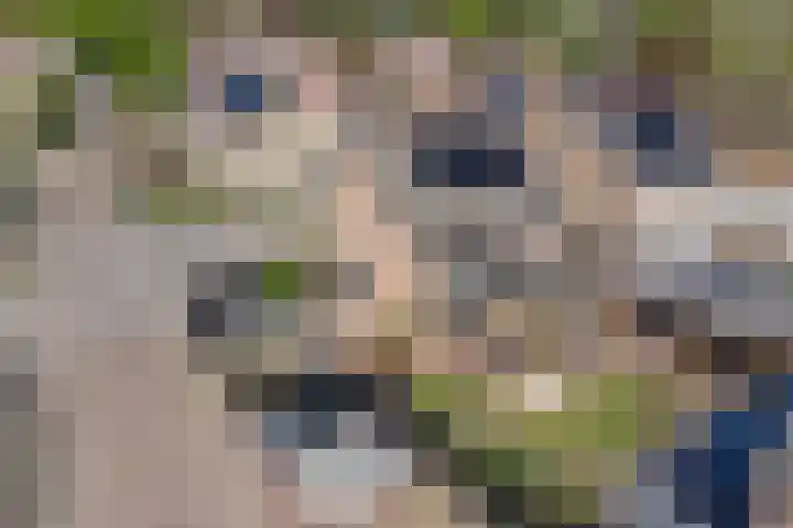 de Mandreef 2 Rucphen thumbnail 40
