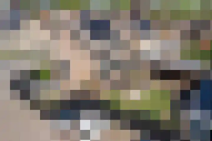 de Mandreef 2 Rucphen thumbnail 41
