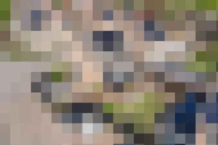 de Mandreef 2 Rucphen thumbnail 42