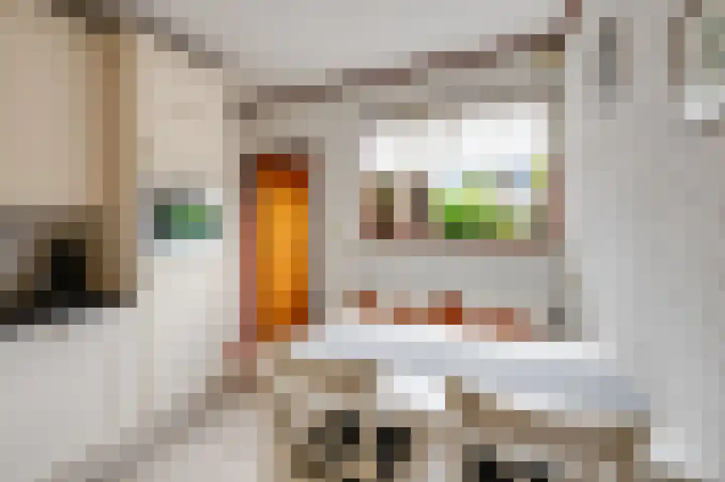 de Mandreef 6 Rucphen thumbnail 14