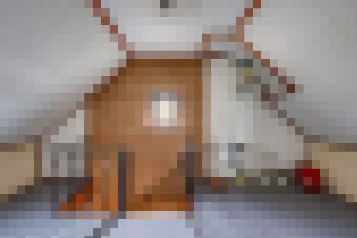 de Mandreef 6 Rucphen thumbnail 27
