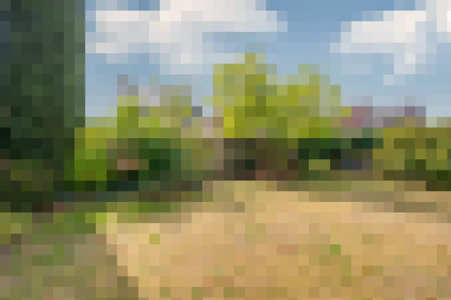 de Mandreef 6 Rucphen thumbnail 31