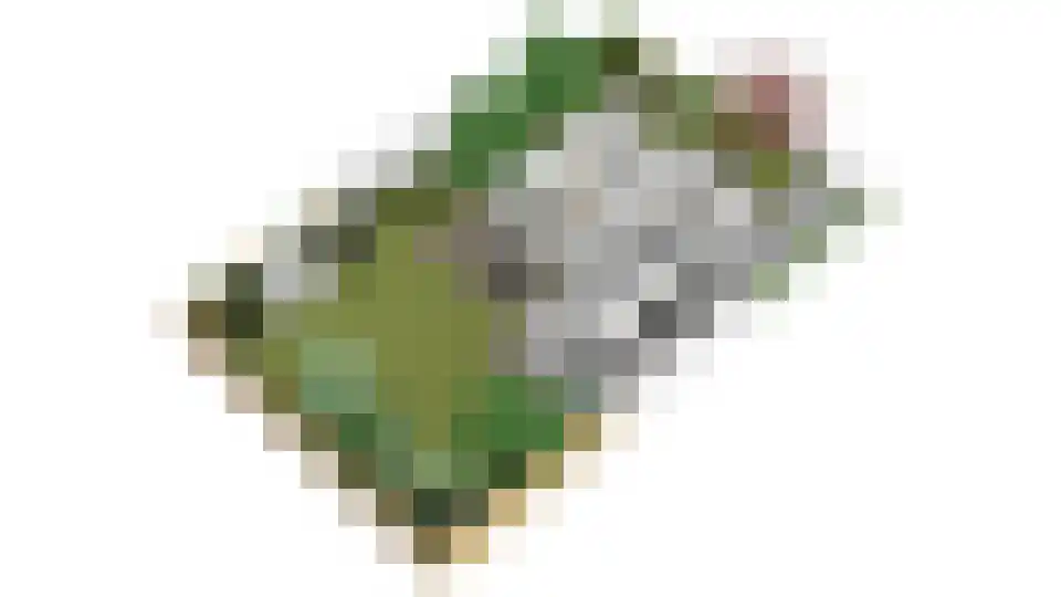 de Mandreef 6 Rucphen thumbnail 43