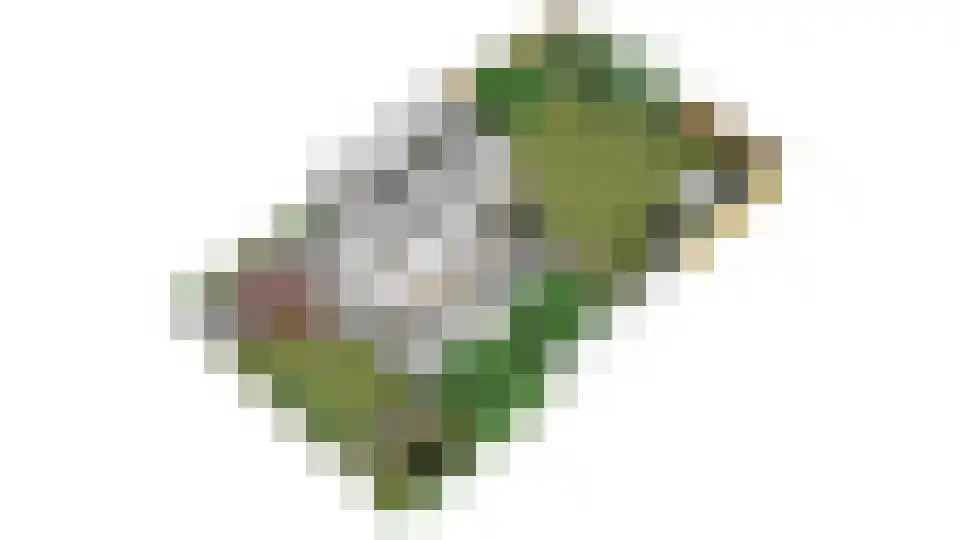 de Mandreef 6 Rucphen thumbnail 44