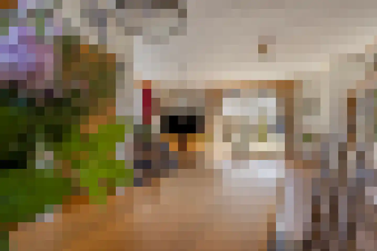 De Maneschijn 4 Oost West en Middelbeers thumbnail 11