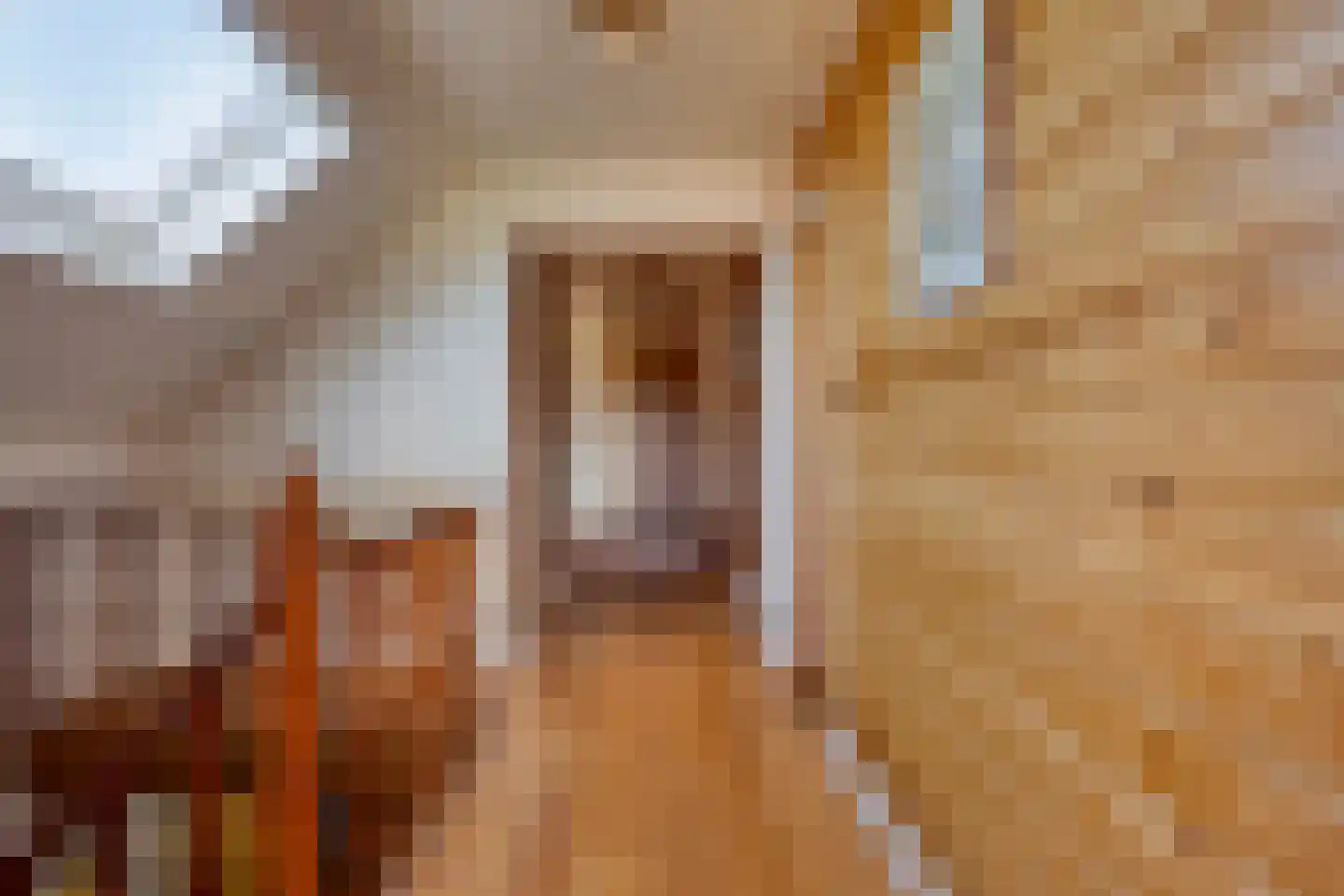 De Maneschijn 4 Oost West en Middelbeers thumbnail 27