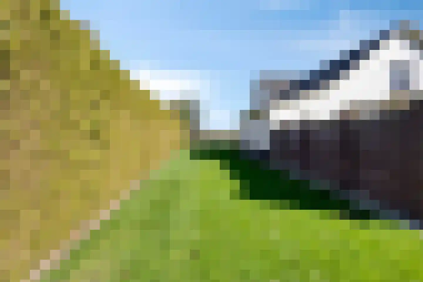 De Maneschijn 4 Oost West en Middelbeers thumbnail 53