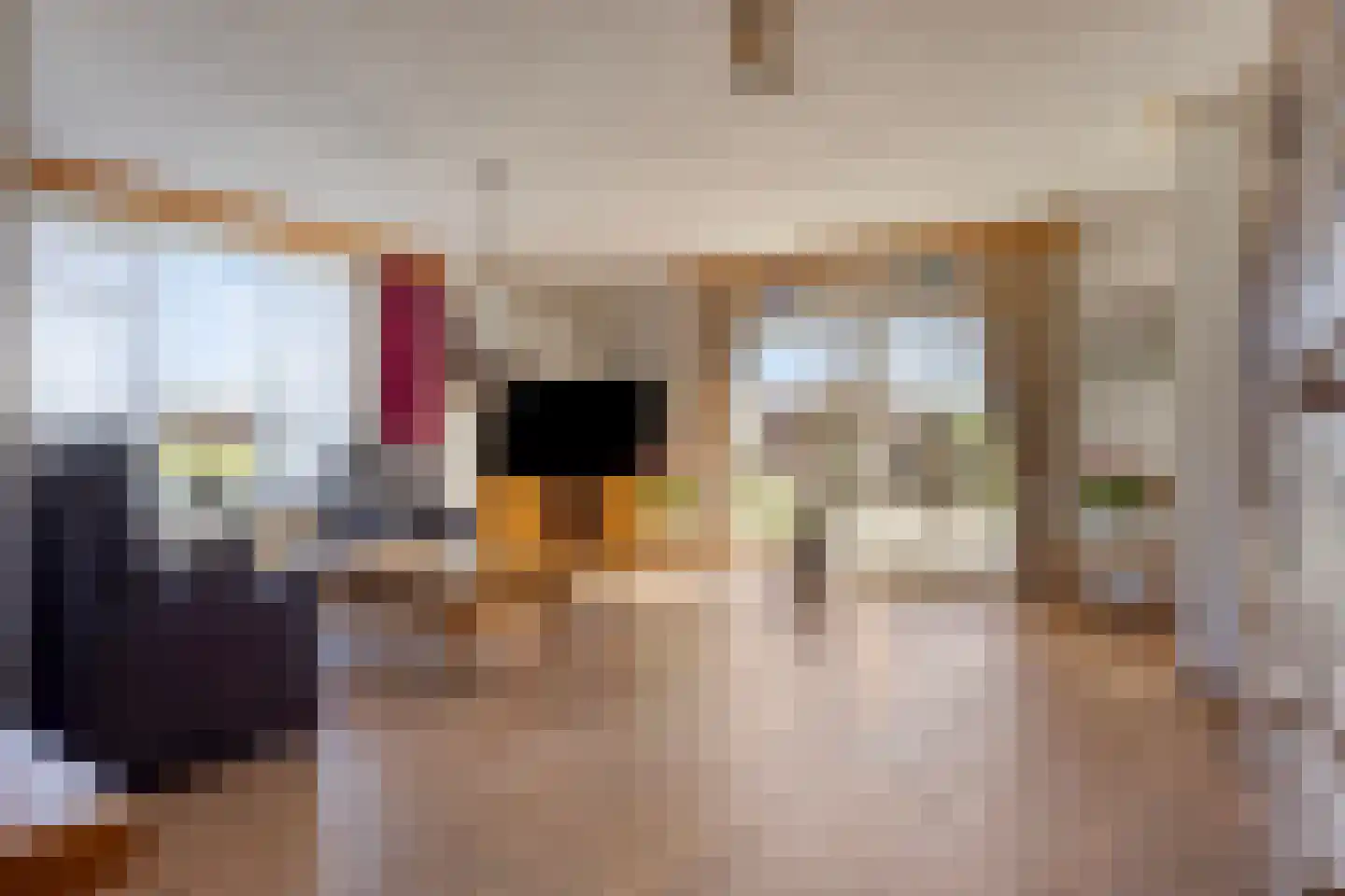 De Maneschijn 4 Oost West en Middelbeers thumbnail 8